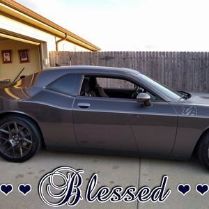 Meet your Posher, Rena